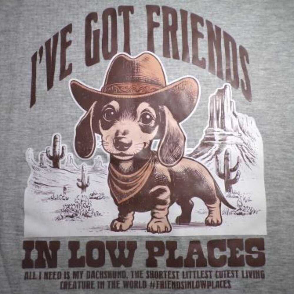 NEW Dachshund Friends In Low Places T-Shirt Size Medium Gray Weenie Dog Cowboy